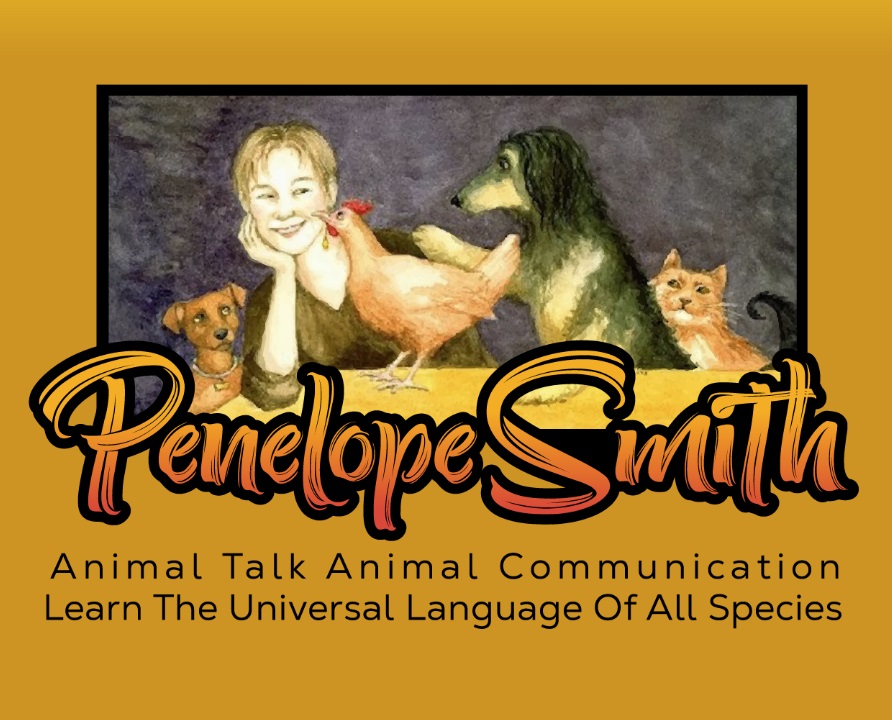 Penelope Smith animal communication